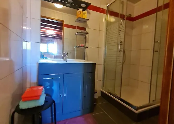 Charmante Avec Salle D'eau Privative Et Salon Commun, Proche Belgique Et Luxembourg - Fr-1-584-327